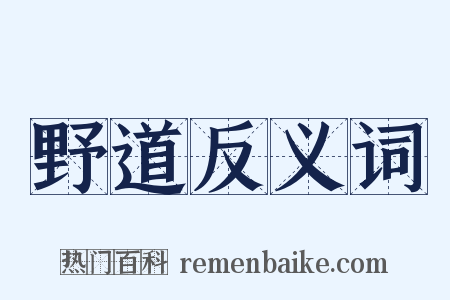 野道反义词是什么意思的图片